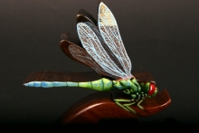 Grandpa's Walnut Native American Flute, Minor, Low D-3, #D83F